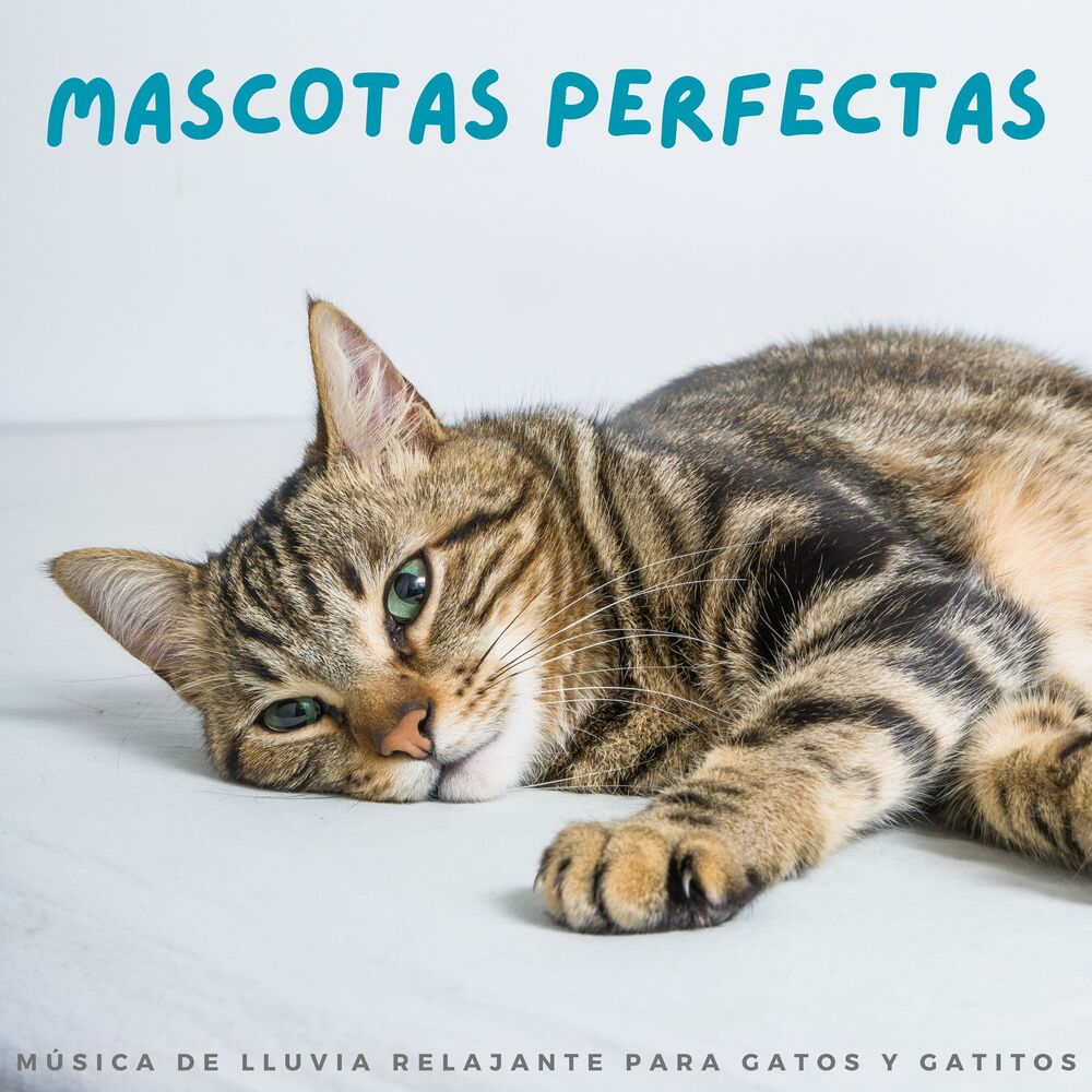 Picture of Relajamiento Total para las Mascotas