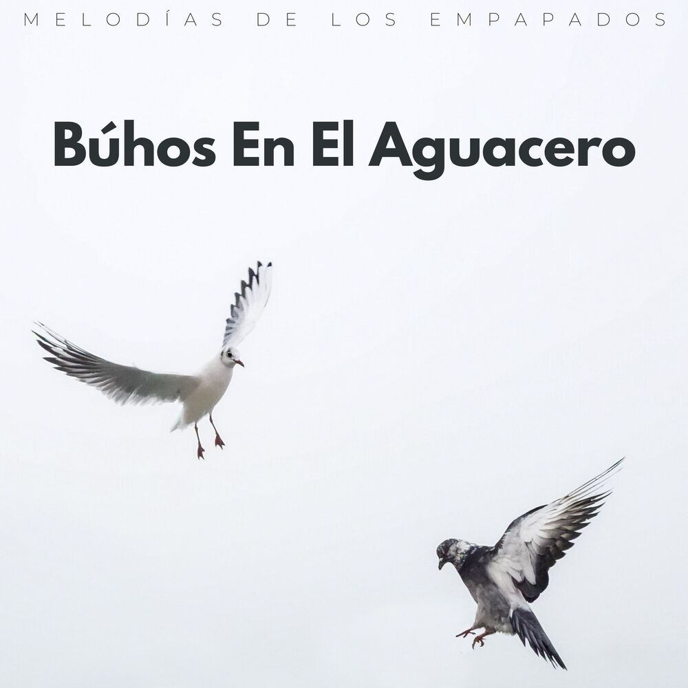 Picture of Efectos especiales del clima