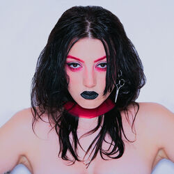 Picture of Venin Carmin