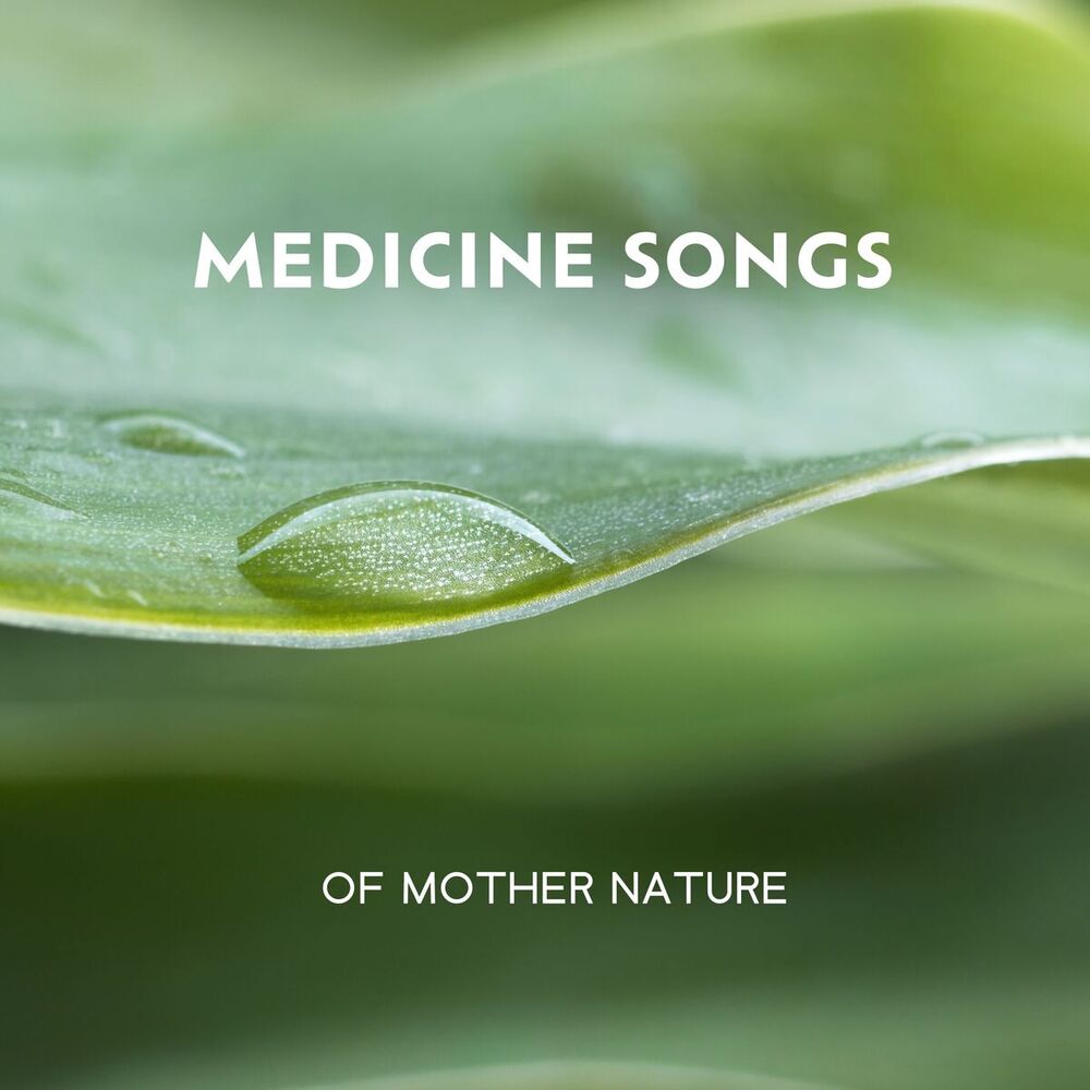 Picture of Mothers Nature Music Academy