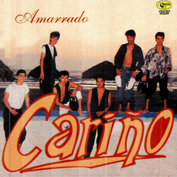 Picture of Grupo cariño de Javier Lui