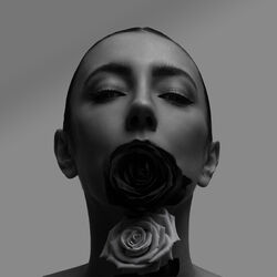 Picture of Sarah Stenzel