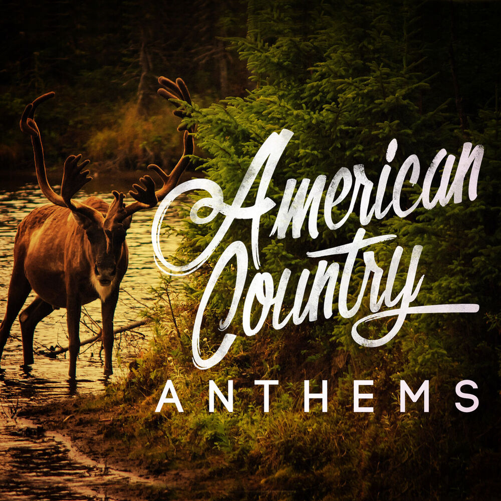 Picture of American Country Hits