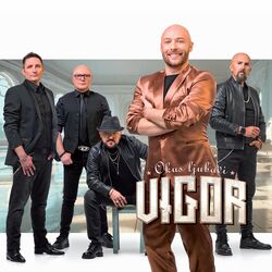 Picture of Grupa Vigor