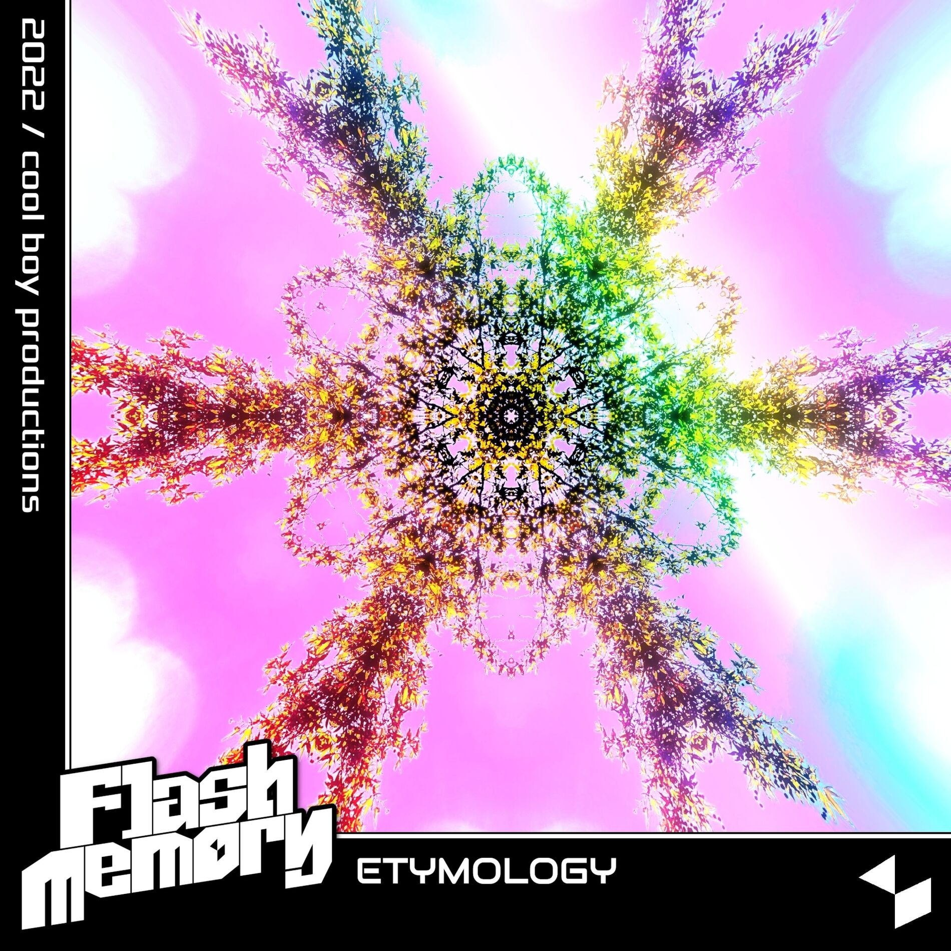 Artist picture of Flash Memory