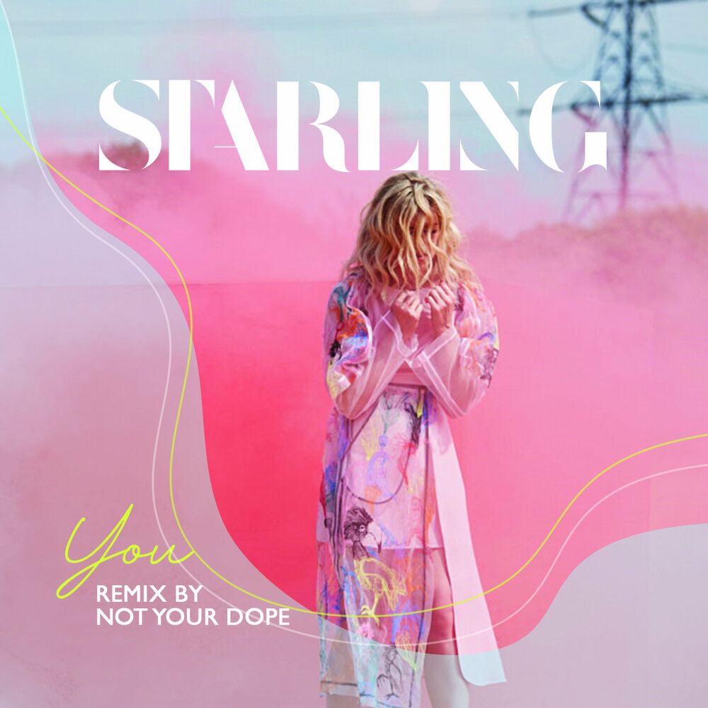 Picture of Starling