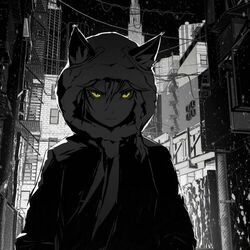 Picture of savemesamudio