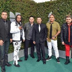 Picture of Siggno