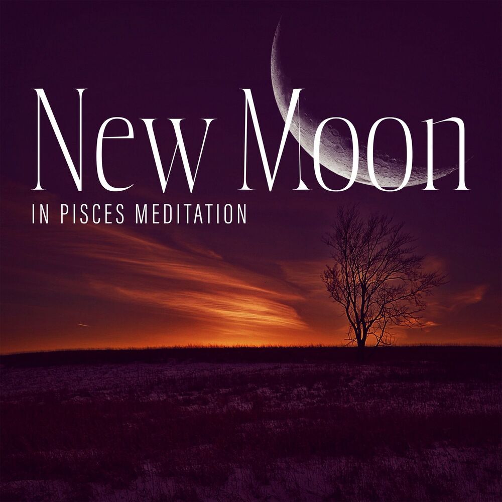 Picture of Moonlight Shadow Universe