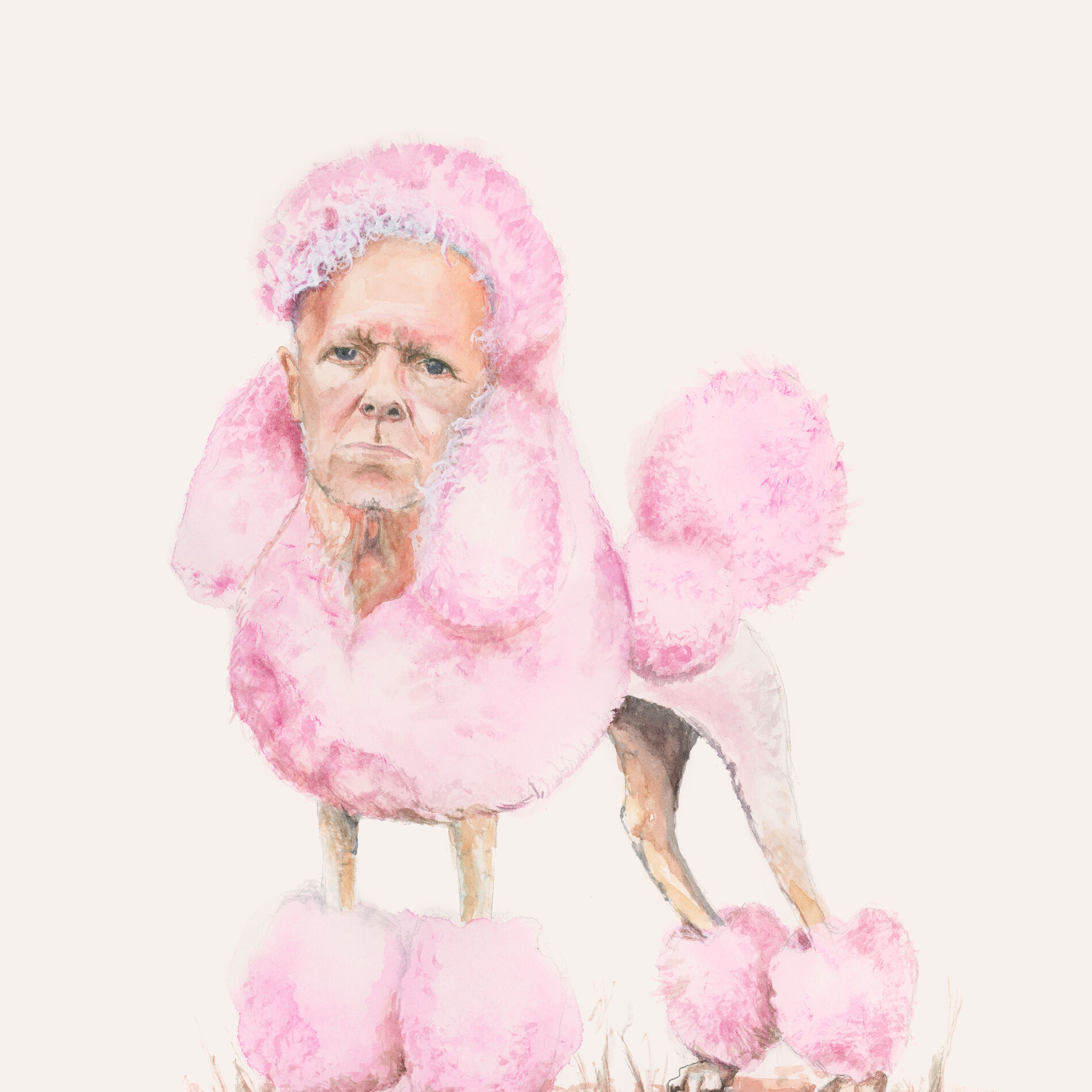 Artist picture of Swans