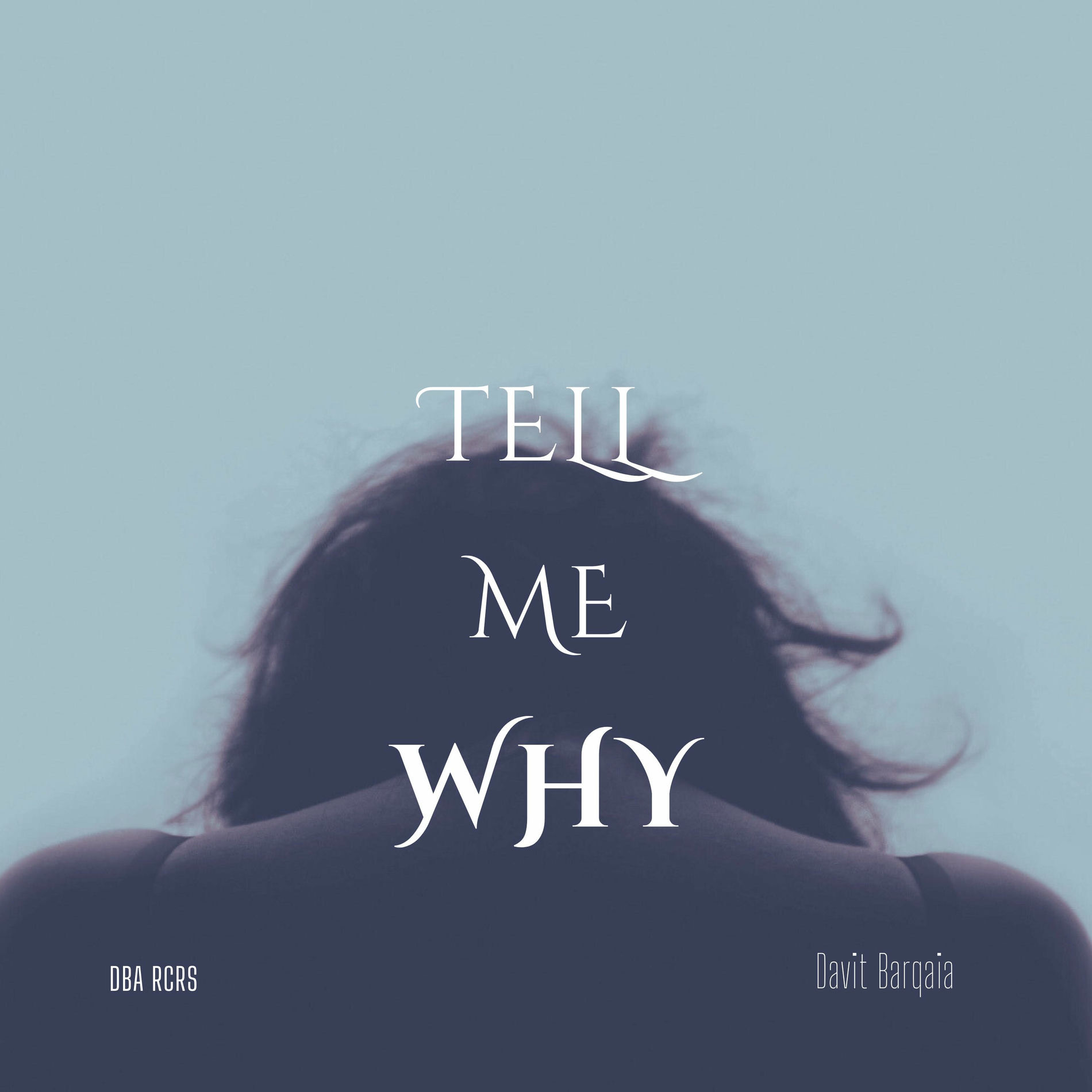 Artist picture of Davit Barqaia