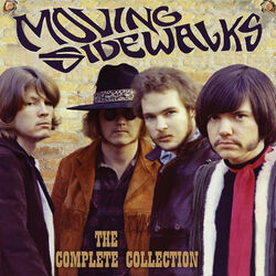 Picture of Moving Sidewalks