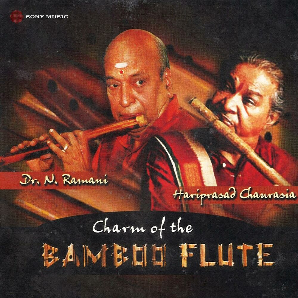 Picture of Dr. N. Ramani
