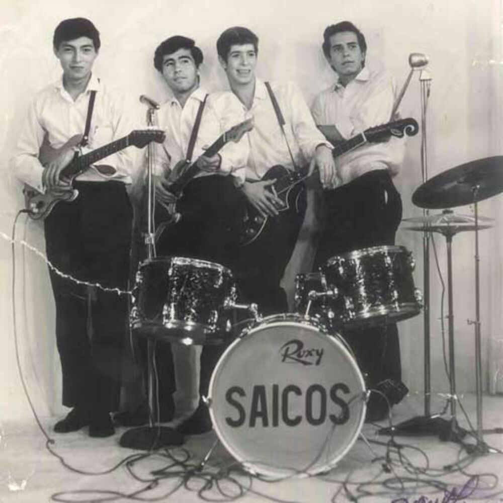 Photo de l'artiste Los Saicos