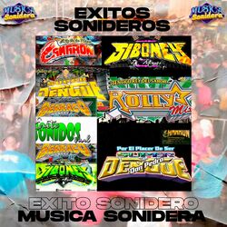 Picture of Musica Sonidera inc