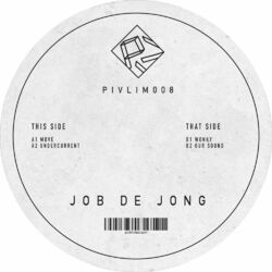 Picture of Job De Jong