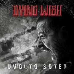 Picture of Dying Wish