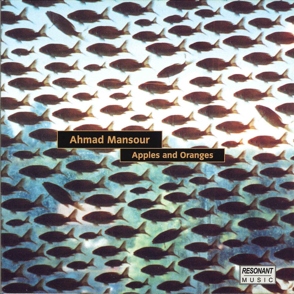 Picture of Ahmad Mansour