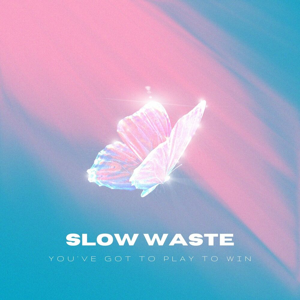 Picture of Slow Waste