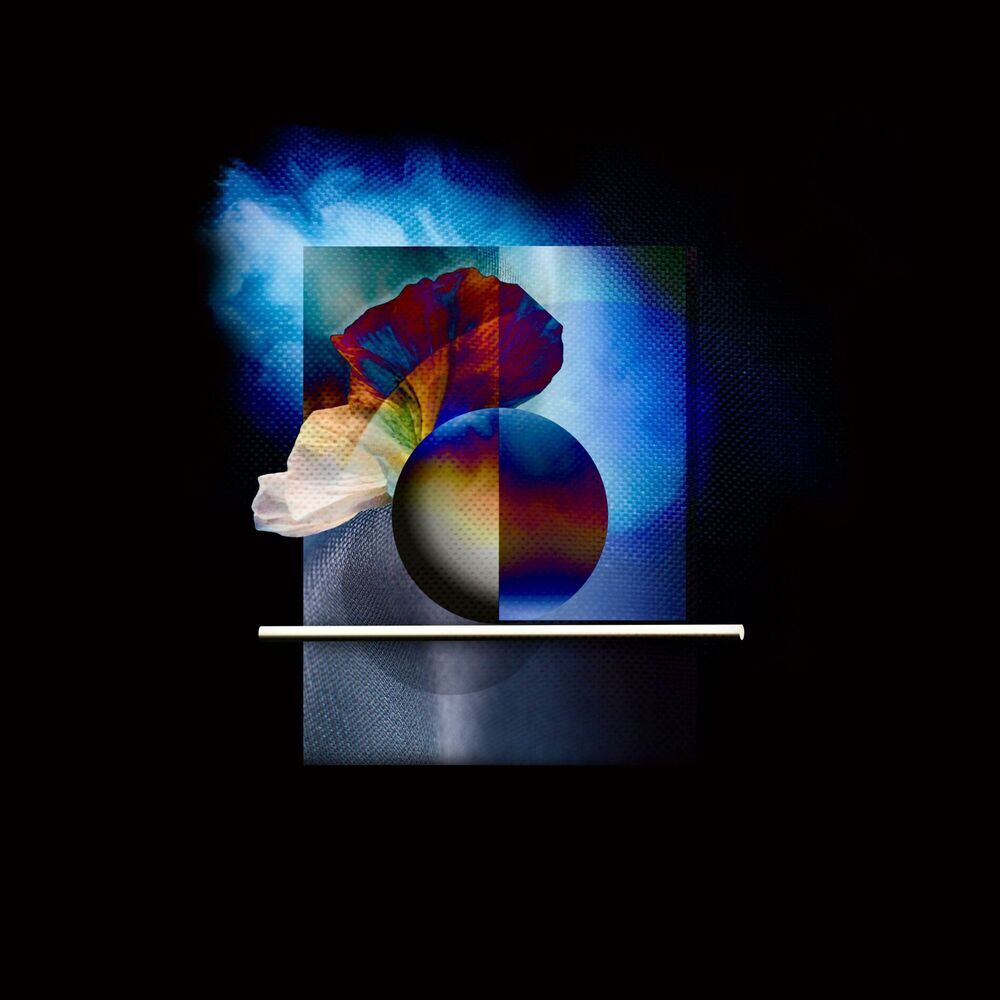 Picture of Sungazer