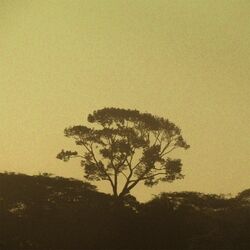 Picture of Troco em Bala