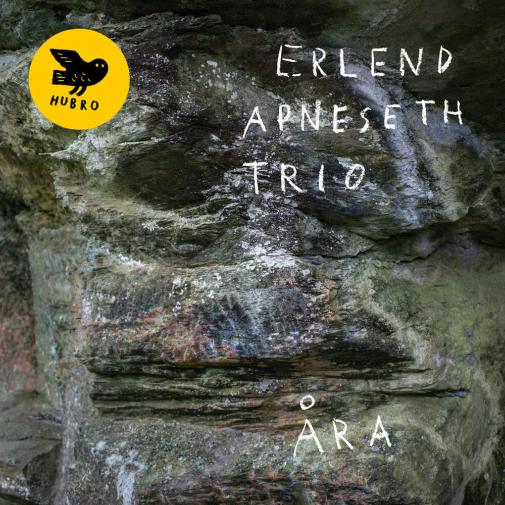 Picture of Erlend Apneseth trio