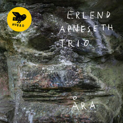 Picture of Erlend Apneseth trio