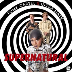 Picture of Funk Cartel