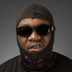 Picture of Hache-P