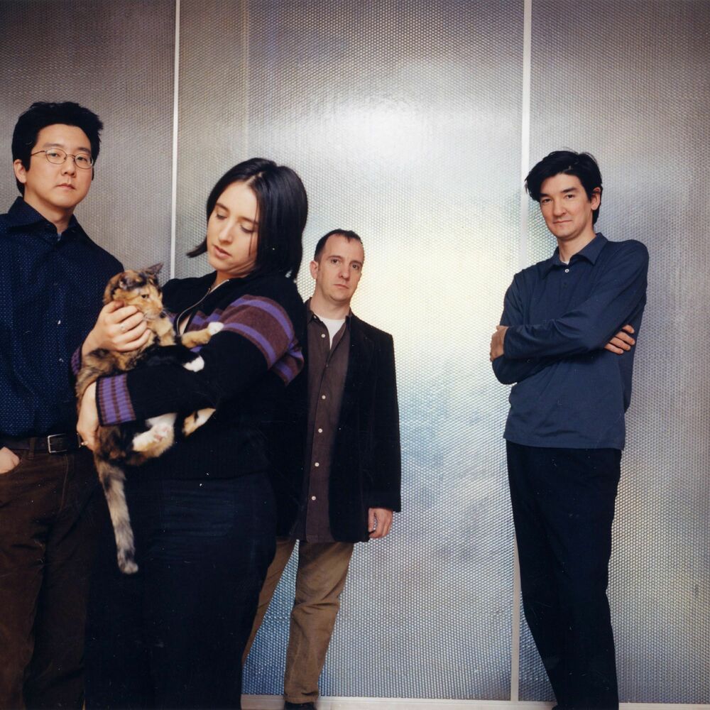 Picture of The Magnetic Fields