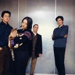 Picture of The Magnetic Fields