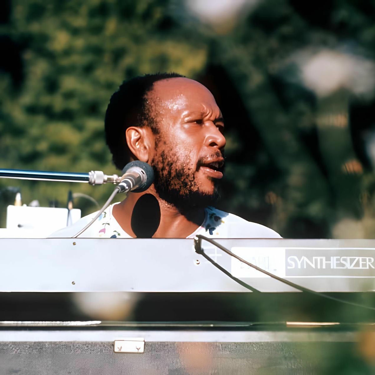 Les Mccann