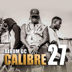 Picture of Calibre 27
