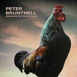 Picture of Peter Bruntnell
