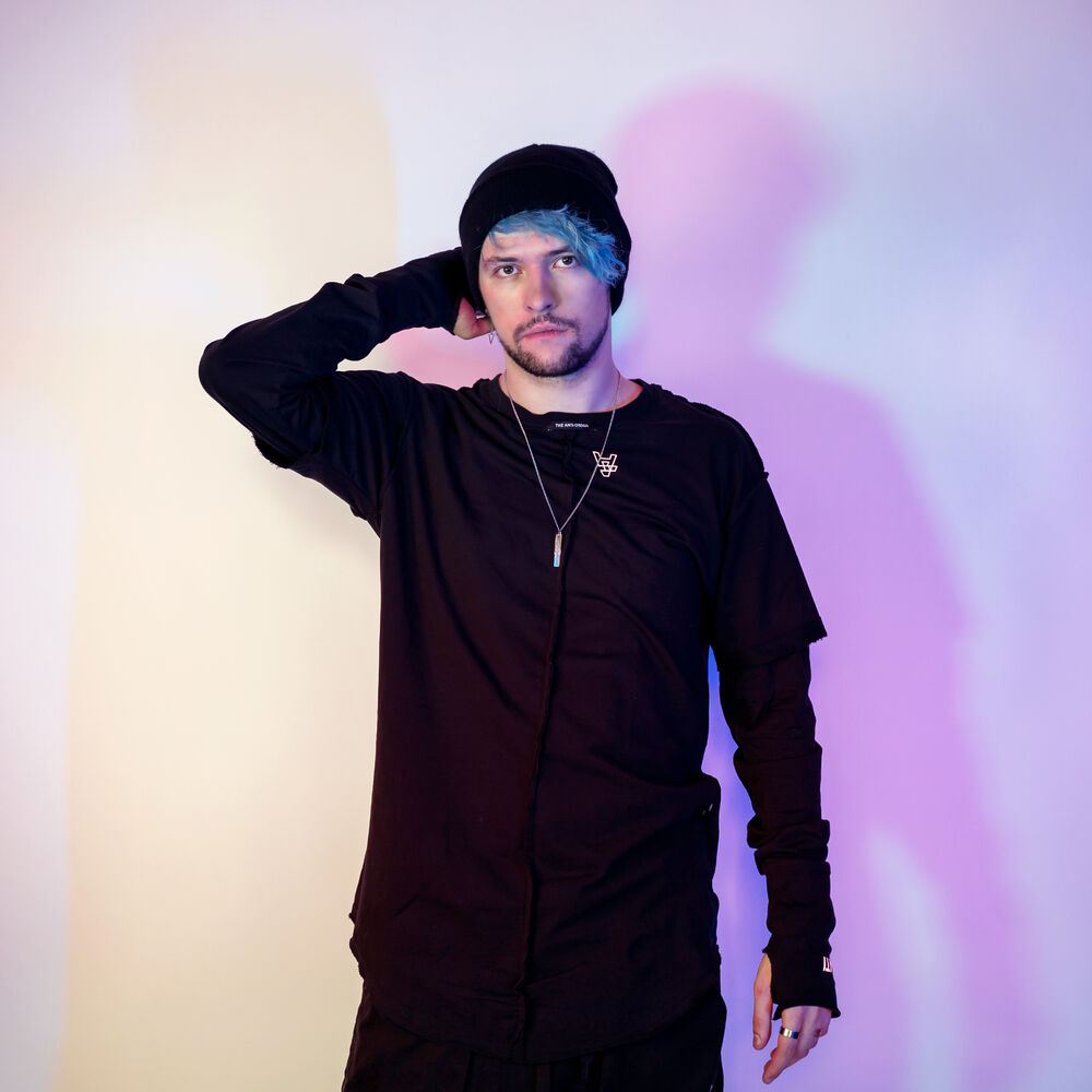 Picture of Virtual Riot