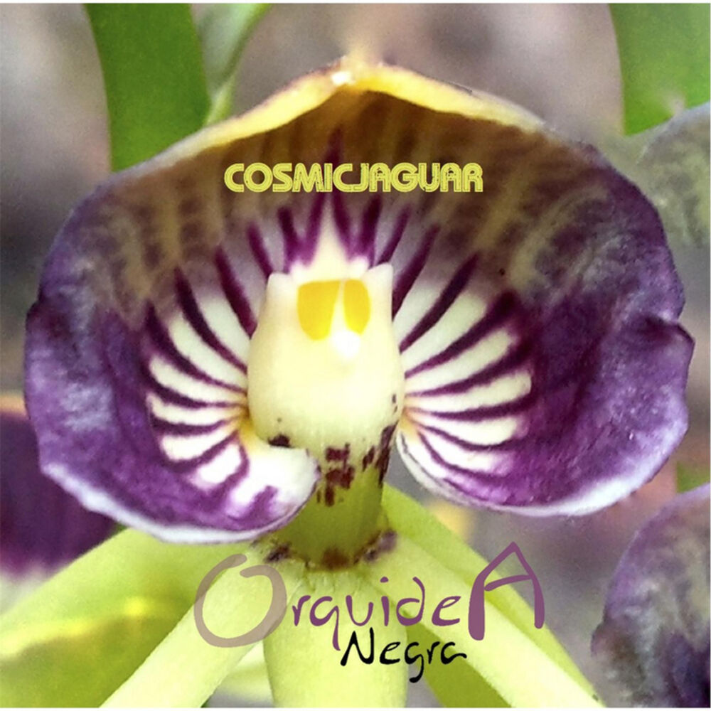 Picture of Cosmicjaguar
