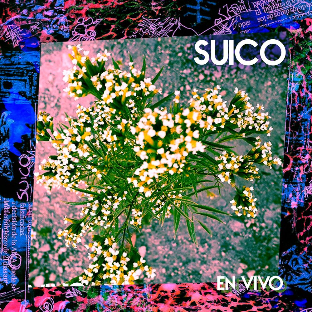 Picture of Suiço