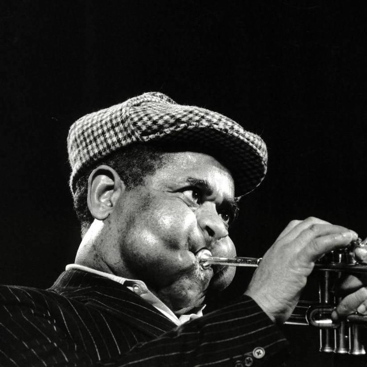 Artist picture of Dizzy Gillespie