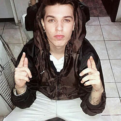 Picture of Mc veiga