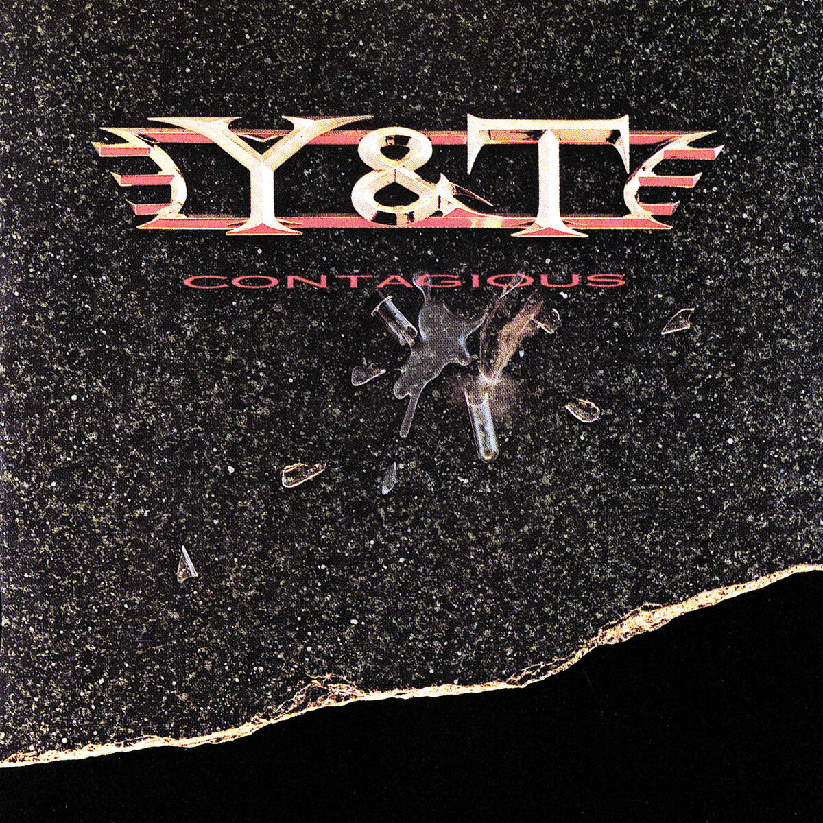 Y&T