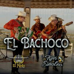 Picture of El piloto y su estilo
