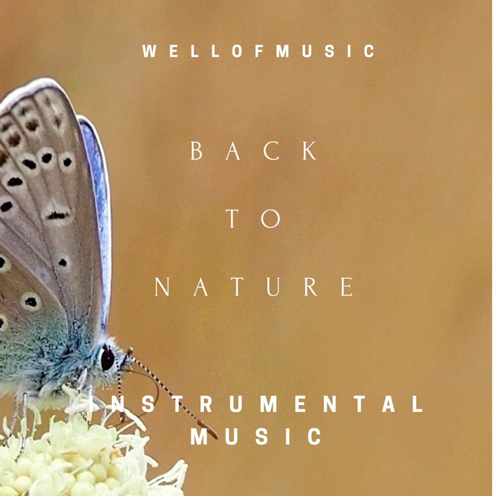 Picture of WellofMusic