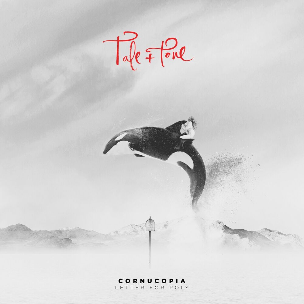 Picture of Cornucopia
