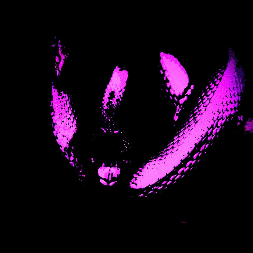 Picture of Venomous