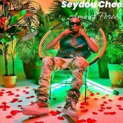 Picture of Seydou Chée