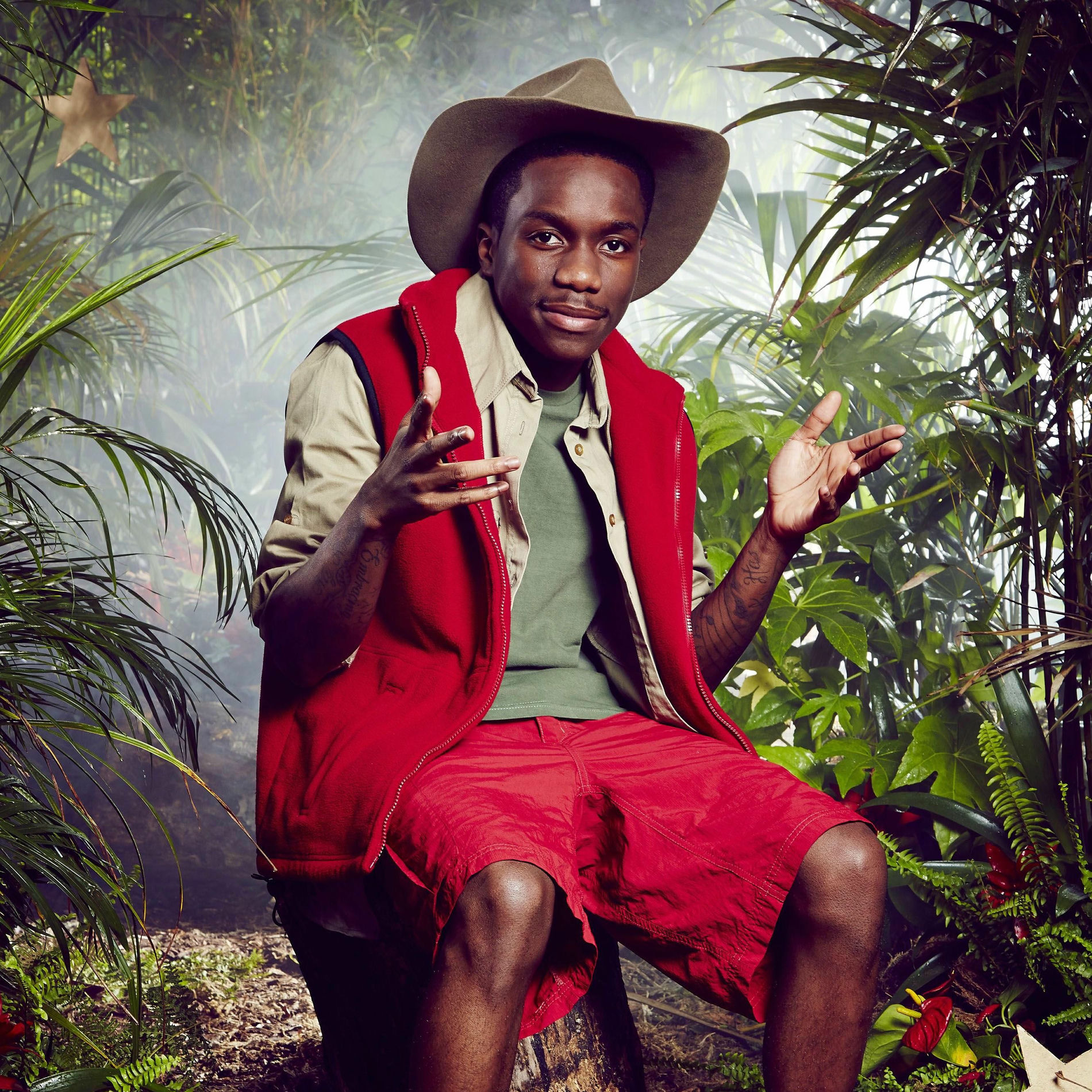 Artist picture of Tinchy Stryder