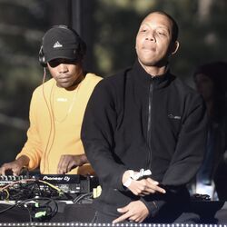 Picture of Vindata