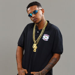 Picture of Dj Renan da bl