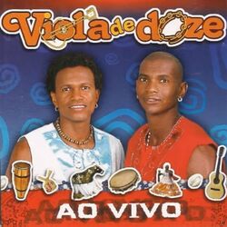 Picture of Viola de Doze