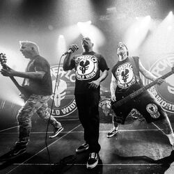 Powerflo